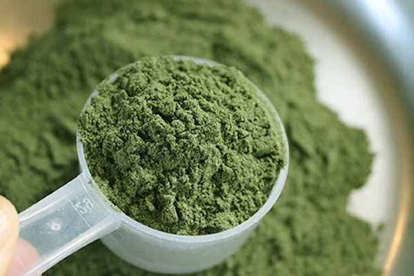 Mescaline Powder
