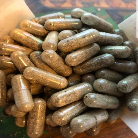 Psilocybin Mushroom Capsules