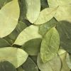 buy-coca-leaves